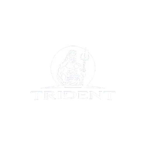 tridentwebworks